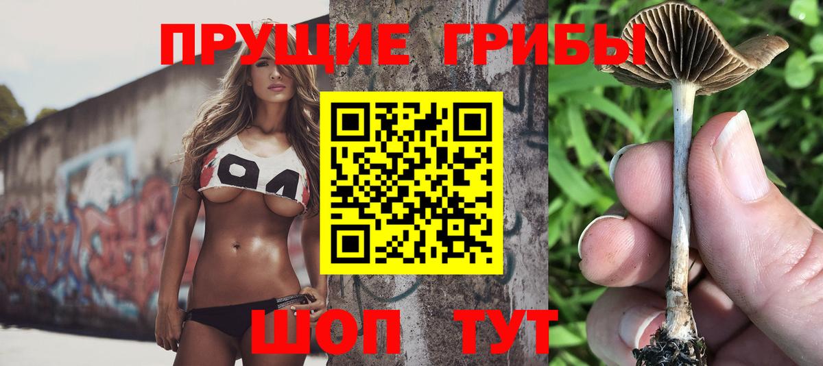 Псилоцибиновые грибы ЛСД  Вход с VPN  хочу наркоту  Тулун 